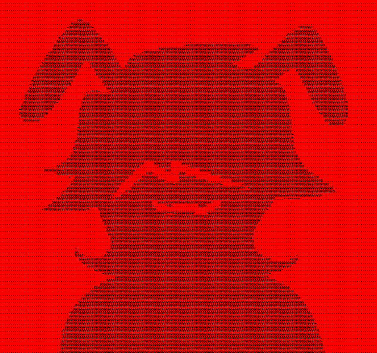 a bunny